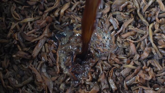 Korean braised burdock root side dish soy sauce seasoning k food vegetable healthy cooking ingredient 우엉 조림 간장양념 한식 반찬 요리 음식 양념섞기 우엉조림 건강식 채소 전통식 한국 식재료