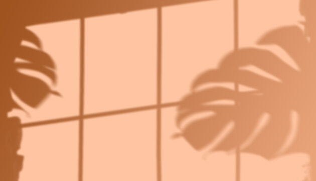 Shadow of monstera leaves and window frame on a beige wall aesthetic background for product presentation, social media, or interior design concepts
