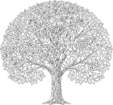 Elegant Aspen Tree Vector Art with Transparent Background