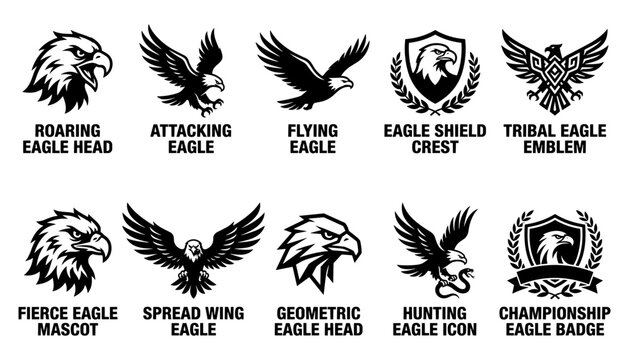 Eagles in Various Poses and Designs, Including Attacking, Flying, and Geometric Styles Featuring Eagle, Bird, Fierce with Mascot