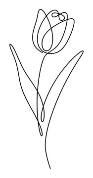 Single continuous line drawing of a tulip flower as cut out PNG