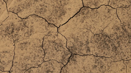 Texture of sun-baked, cracked clay soil in a cultivated agricultural field during summer. © Юрій Борисов