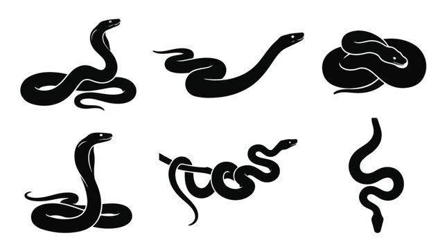 A set of six python snakes in various poses silhouette vector illustration on a white background

