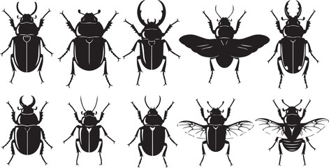 Collection of black beetle silhouettes against a white background with spread wings © SD DESIGN STUDIO