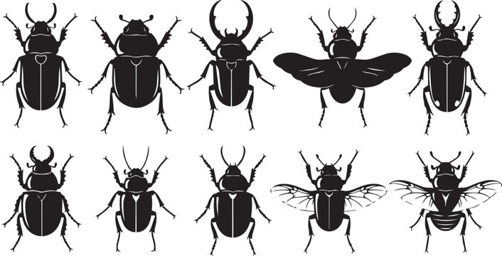 Collection of black beetle silhouettes against a white background with spread wings