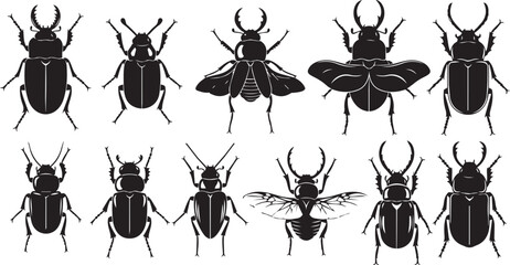 Collection of black beetle silhouettes on white background representing insect diversity for design © SD DESIGN STUDIO