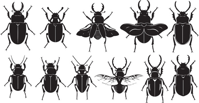 Collection of black beetle silhouettes on white background representing insect diversity for design
