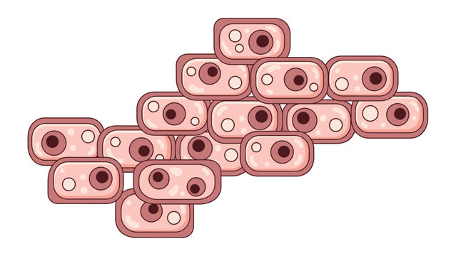 Biological Cell Structure with stylized pink human cells and nuclei ideal for educational materials and science presentations.