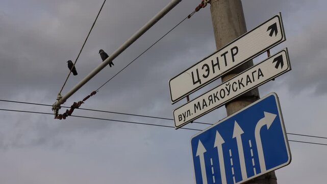 Crows sitting on overhead wires near Cyrillic street direction signs under cloudy sky
