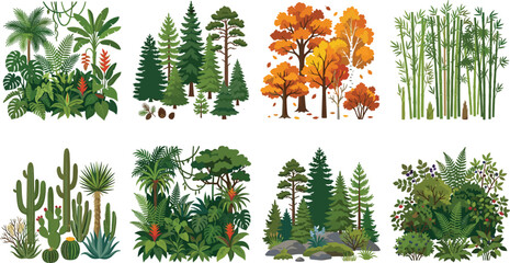 Collection of Vegetation and Ecosystem Illustrations Featuring Tropical Plants, Coniferous Trees, Deciduous Forest, Bamboo, Desert, Rainforest, Temperate Forest and Shrubland © Sahara