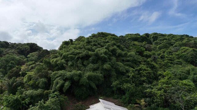 Drone rising above tropical forest revealing Remire-Montjoly beach and coastline in French Guiana.