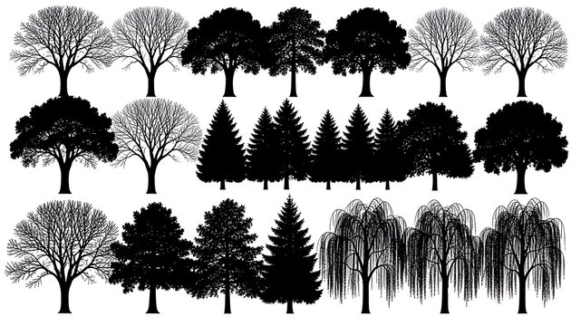 Detailed oak pine and weeping willow tree silhouette set