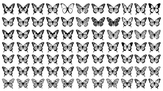 :
Detailed Black Butterfly Vector Set with Intricate Wing Pattern Silhouette Collection