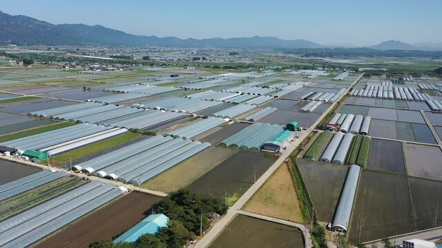 Gokseong greenhouse smart farm melon agriculture cultivation production distribution fruit vegetable complex farm 멜론 재배 온실 농가 단지 곡성 비닐하우스 농업 농사 농촌 농민 스마트팜 유통 판매 생산 농산물 과일 채소 야채 한국