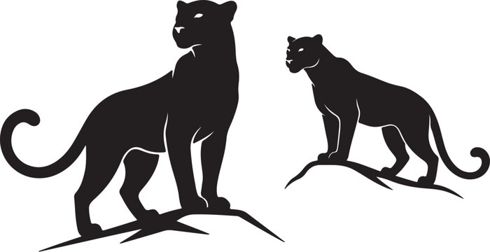 Realistic leopard in silhouette on white background.