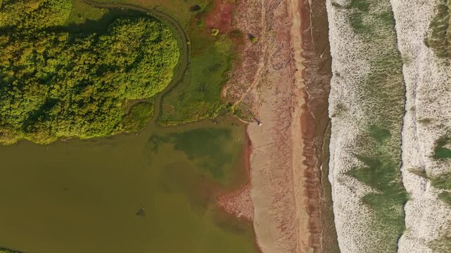 Top down aerial view of ocean waves meeting a sandy beach and a lush green river delta