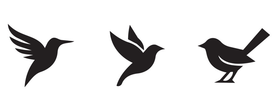 Minimalist bird silhouettes set featuring flying hummingbird, sparrow, and robin icons vector