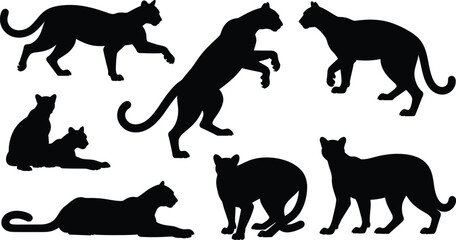 Obraz premium Collection of black raven silhouettes in flight graphic design element