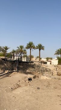 View of the historic othman well and date palm orchard in madina, saudi arabia.