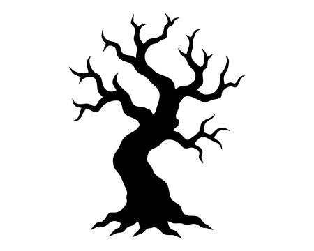 Squat gnarled tree with heavy crooked limbs an irregular ancient trunk and rugged roots creating a bold haunted woodland character for Halloween stories gothic scenery and folklore