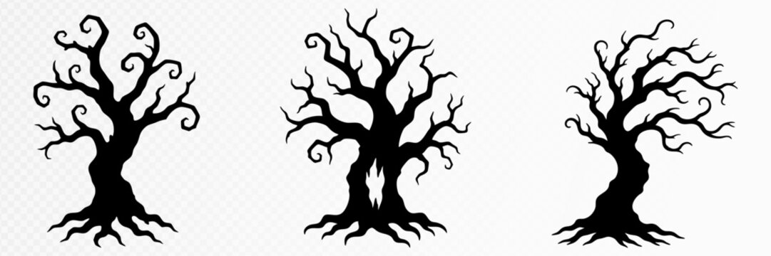 Collection of three eerie leafless trees with tangled curling branches and exposed roots creating a mysterious haunted woodland mood for Halloween folklore and dark nature themes