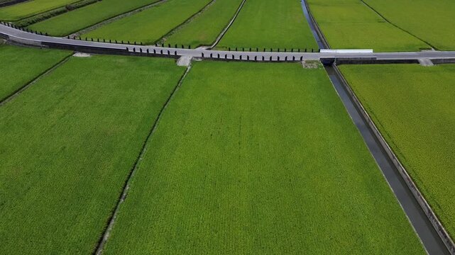 Aerial view of vast green rice fields and irrigation canal in Taiwan