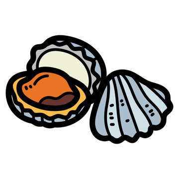 blood cockles illustration