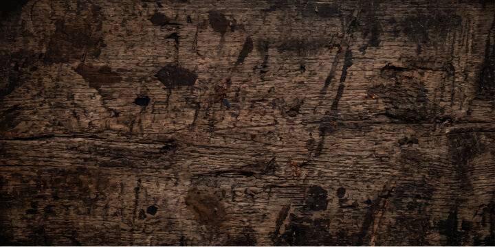 Old Tree Bark Texture Background with Rough Brown Wood Surface Natural Grunge Pattern and Aged Rustic Abstract Material Backdrop