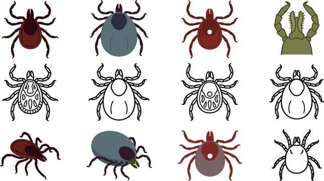 Tick insect vector icon set featuring deer tick parasite line art and lyme disease warning symbols for medical health and pest control design.
