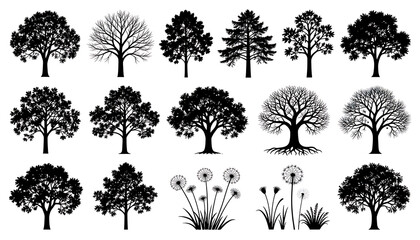 Fototapeta premium Detailed oak maple and bare branch tree silhouette vector pack