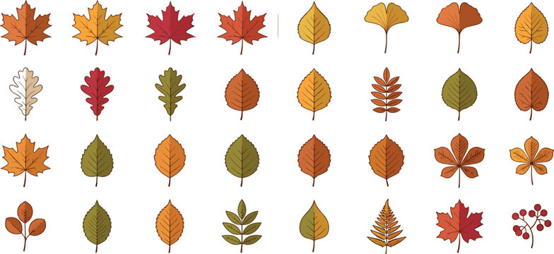 Autumn leaves vector icon set featuring flat linear cartoon fall foliage like maple oak ginkgo and chestnut isolated on white background