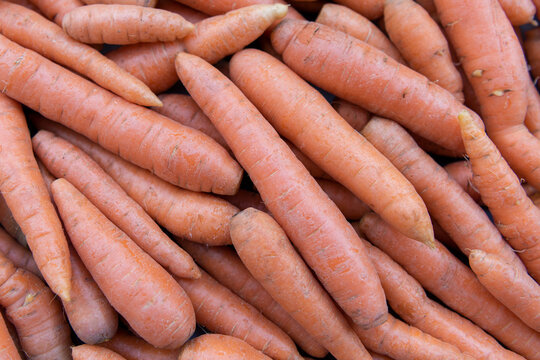 Fresh harvested carrots close-up background