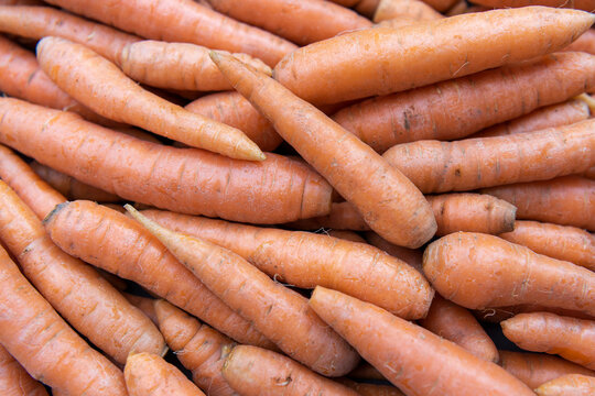 Fresh washed carrots full frame background