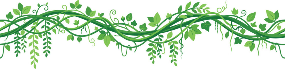 Tropical jungle liana vine vector banner featuring tangled green rainforest creepers hanging ivy branches and wild botanical foliage isolated on white © Sumaiya Akter Sweety
