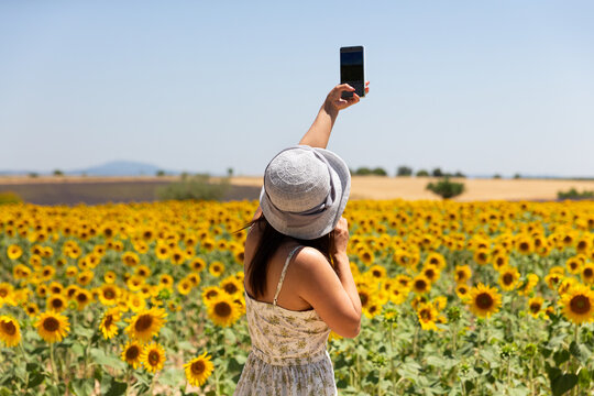 Femme vue de dos dans un champ de tournesols en fleurs qui fait des photos du paysage avec son smartphone, elle porte une robe d'&eacute;t&eacute; et un chapeau clair