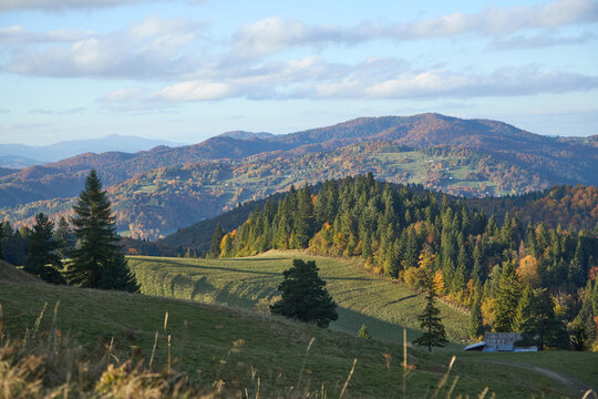 Remote rural house standing on a green mountain meadow surrounded by autumn trees, Poland.