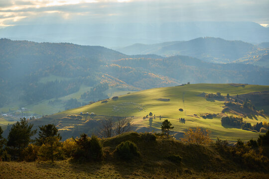 Dramatic sun rays breaking through clouds over a beautiful autumn mountain valley with sheep herd.