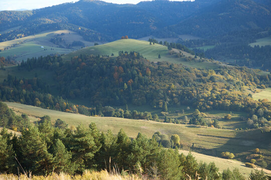 Rolling green hills and meadows of Pieniny region under soft autumn sunlight.