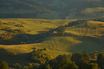 Wavy mountain pastures and colorful autumn forest patches under warm sunlight. © denfotoblog