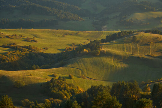 Wavy mountain pastures and colorful autumn forest patches under warm sunlight.