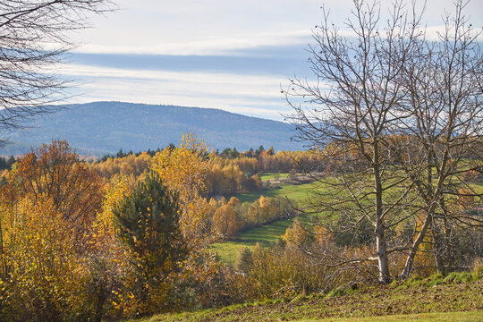 Picturesque autumn landscape with colorful yellow forest and green valleys.