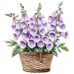 Foxglove Bouquet In A Basket, watercolor illustration featuring playful movement and lively expressions, isolated on a white background. © trovexa