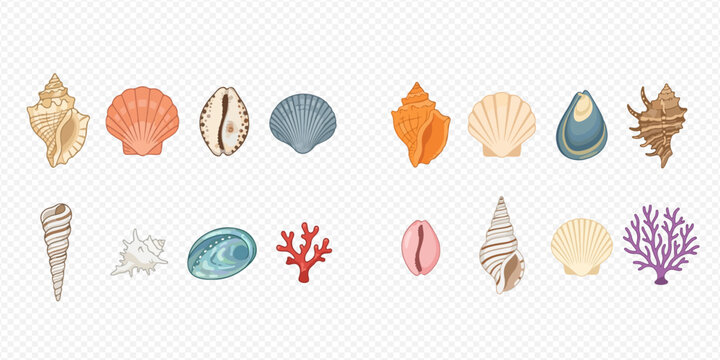 Collection of various colorful seashells, conchs, and corals on a transparent background, perfect for summer and beach-themed designs.