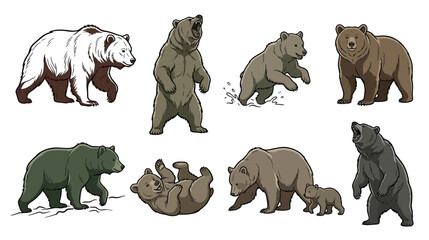 Collection of Diverse Bear Poses and Actions: Brown, Grizzly, and Cub © jami