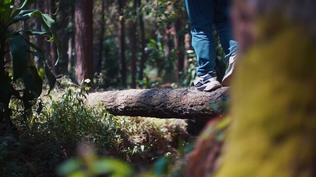 Man with backpack crossing a natural log bridge over a creek, rear view outdoor adventure concept
