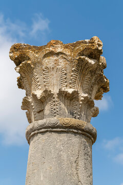 Weathered Corinthian Capital in the House of Ephebe, Volubilis, Morocco