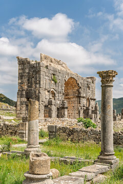 Arch of Caracalla and Column View from the House of Ephebe, Volubilis, Morocco