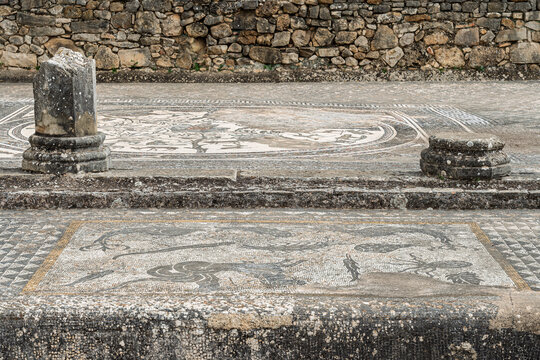 Overview of the Orpheus Mosaic in the House of Orpheus, Volubilis, Morocco