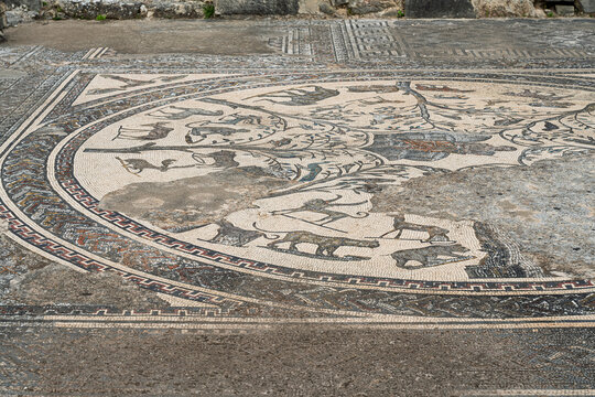 Orpheus and Animals Mosaic in the House of Orpheus, Volubilis, Morocco