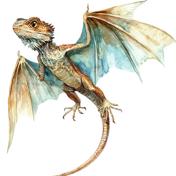 Draco Lizard Flying Dragon, watercolor painting capturing graceful lines and soft blended shades, isolated on a white background.